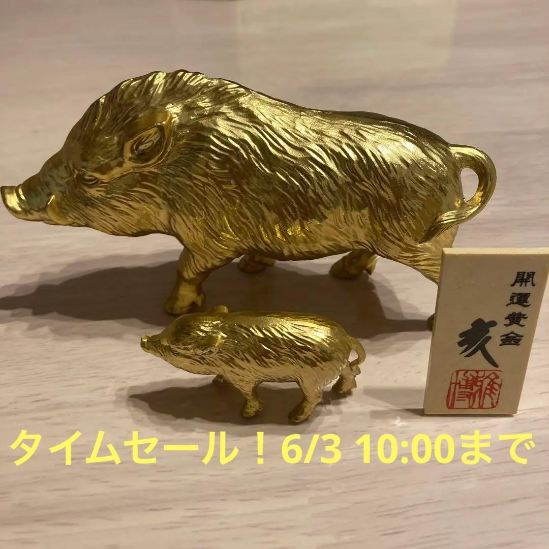 開運黄金　干支の置物　イノシシ親子 楽天市場】【開運干支置物】染錦招福 亥イノシシ（いのしし）年置物