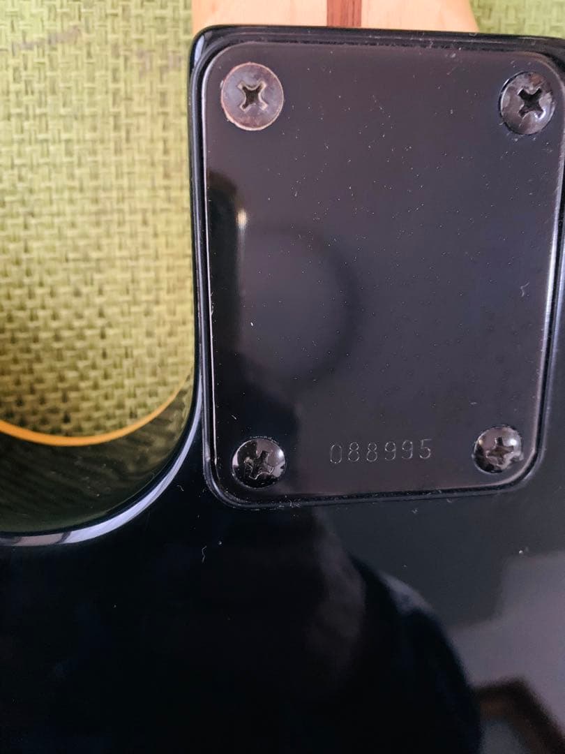 SCHECTER】シェクターUSA☆エレキギター☆テレキャスター☆バーズアイ