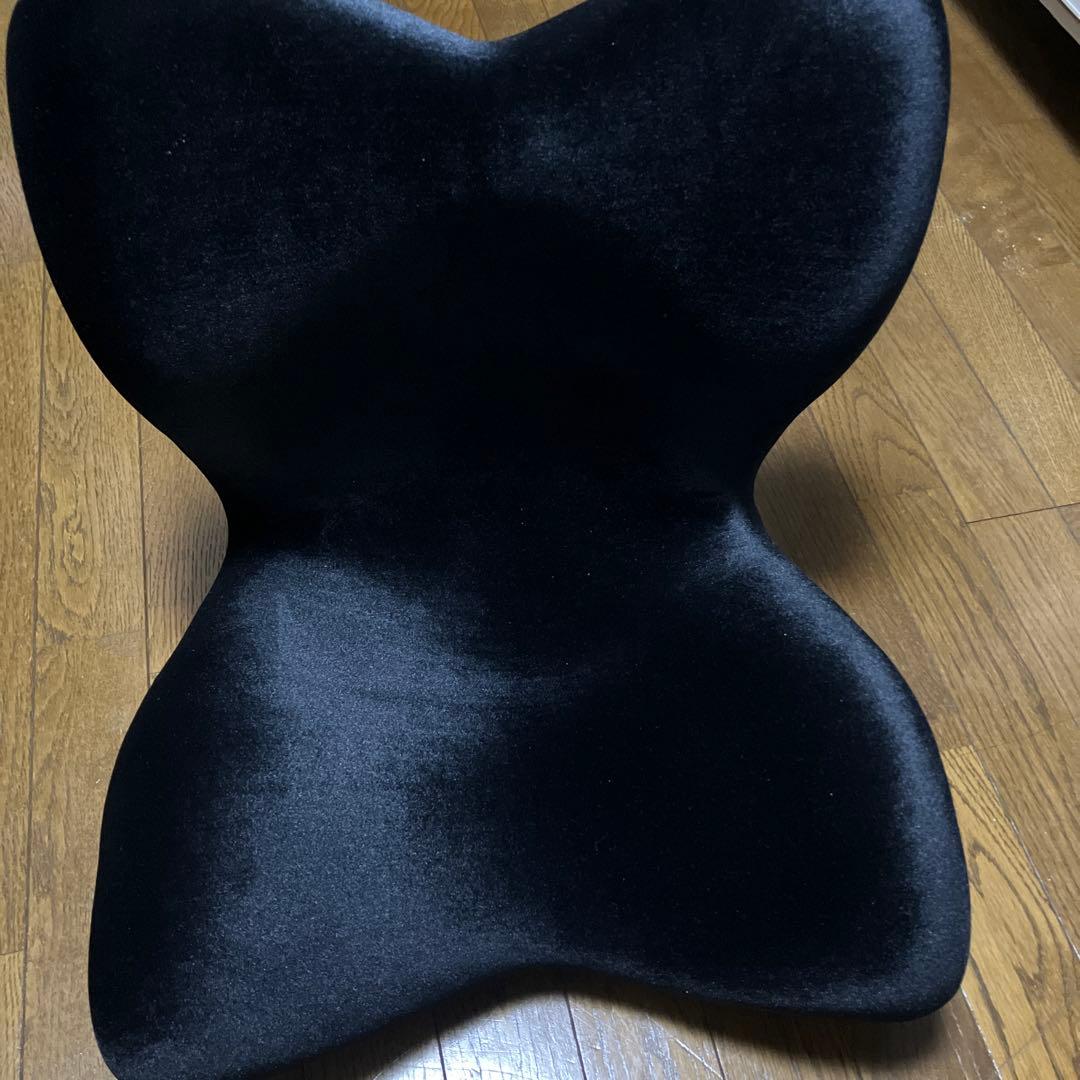 ★最終お値下げ★MTG スタイル style premium DX デラックス 楽天市場】姿勢ケアシート スタイル プレミアム デラックス MTG Style