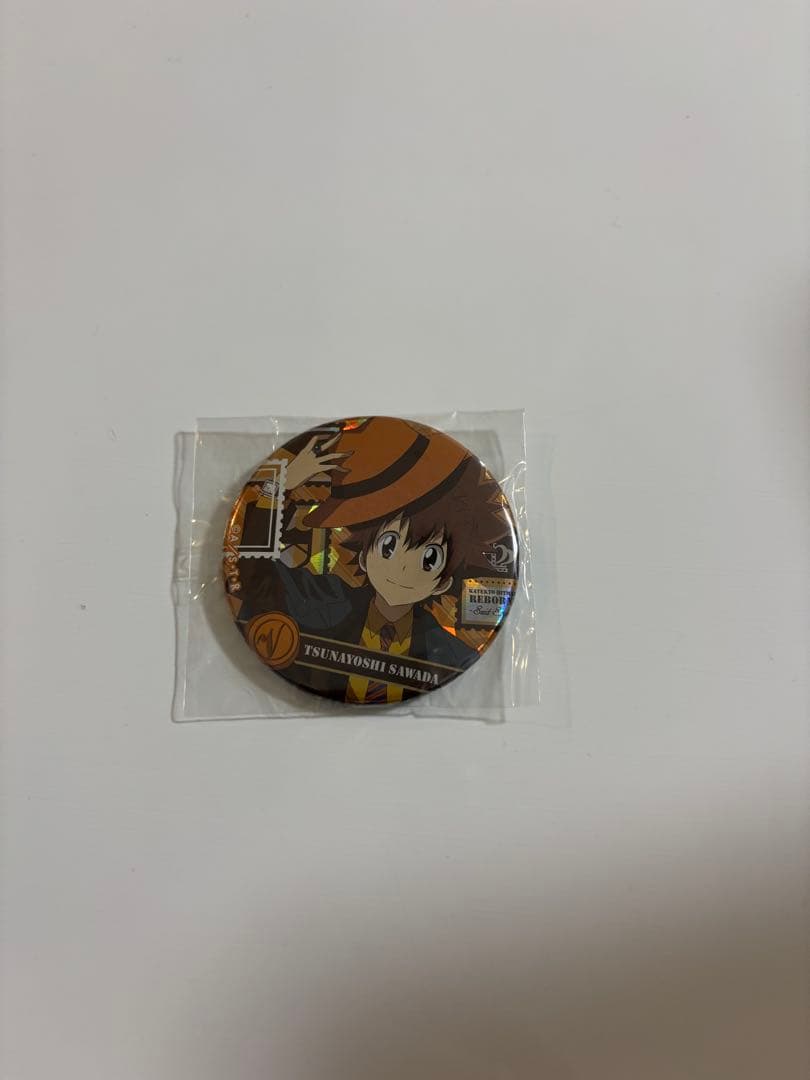 家庭教師ヒットマンREBORN! 沢田綱吉 トレーディング ホログラム缶