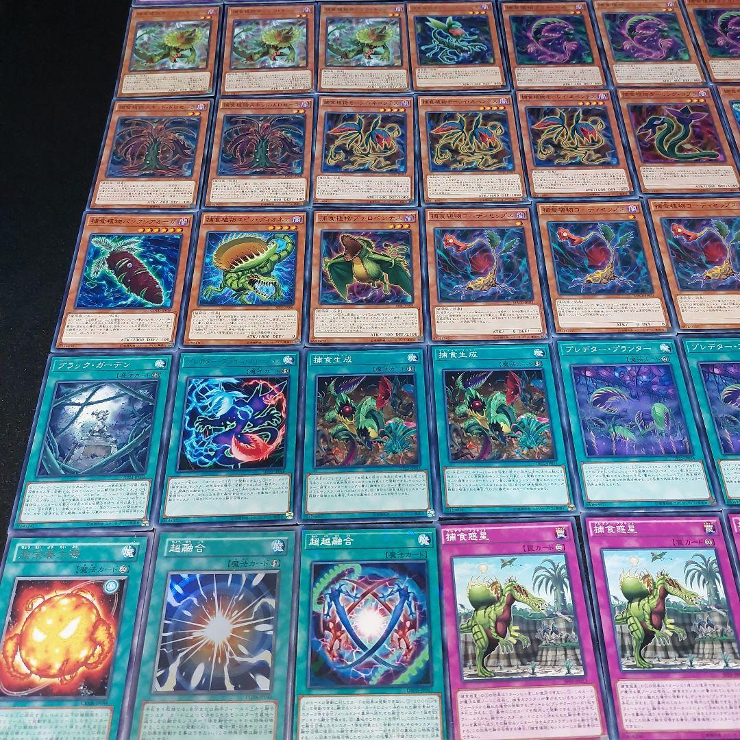 ひつじ商店】遊戯王 捕食植物デッキ！40枚+EX8枚 - メルカリ