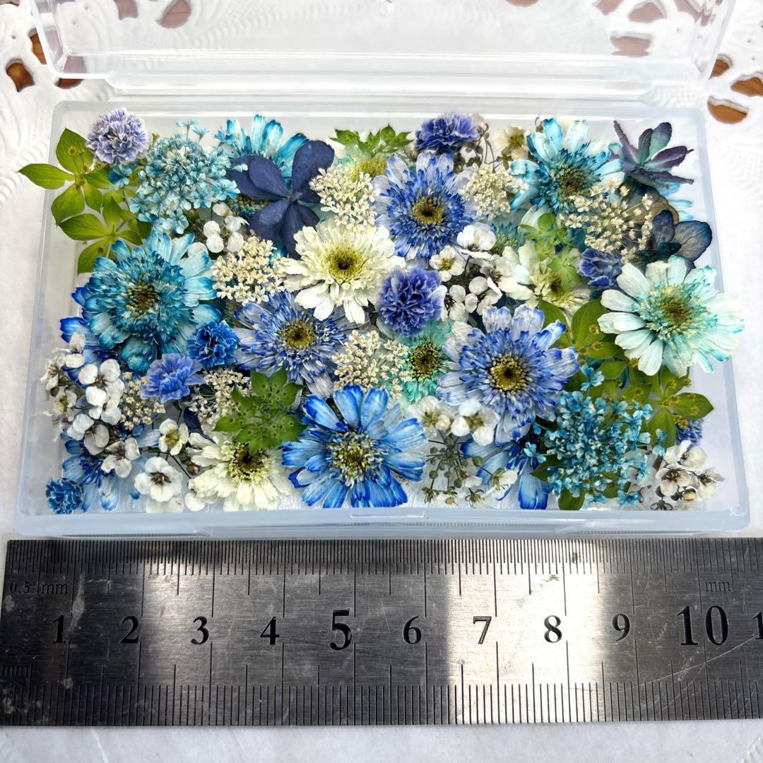 ドライフラワー 花材 詰め合わせ 857 マトリカリア - メルカリ