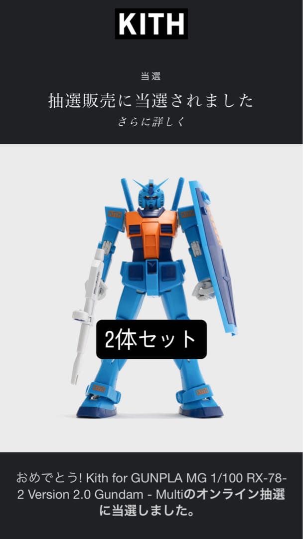 Kith for GUNPLA MG 1/100 2体セット - メルカリ